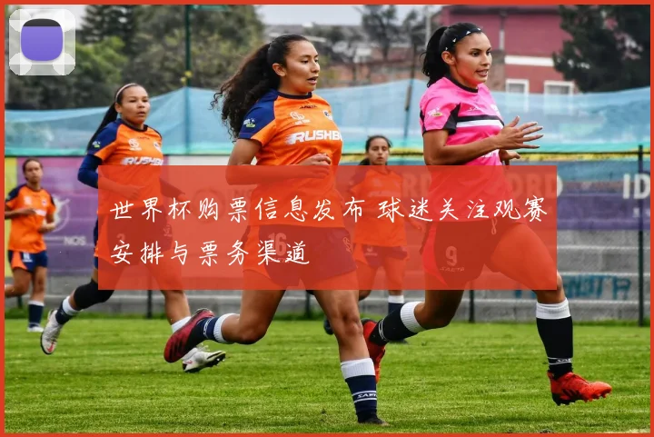世界杯购票信息发布 球迷关注观赛安排与票务渠道