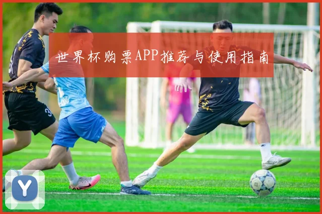 世界杯购票APP推荐与使用指南
