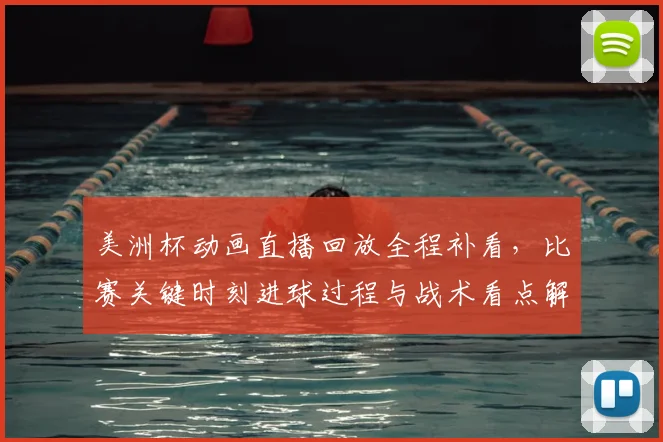 美洲杯动画直播回放全程补看，比赛关键时刻进球过程与战术看点解析