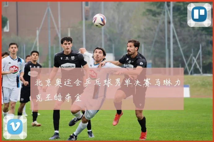 北京奥运会乒乓球男单决赛马琳力克王皓夺金