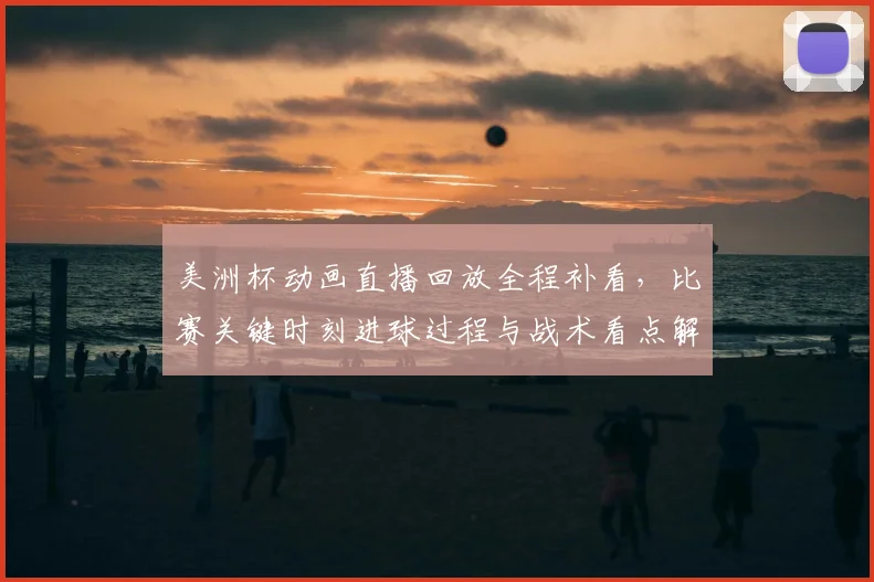 美洲杯动画直播回放全程补看，比赛关键时刻进球过程与战术看点解析