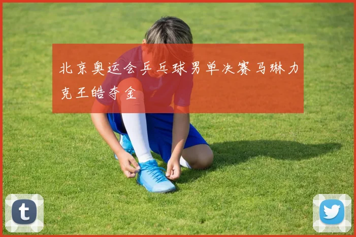 北京奥运会乒乓球男单决赛马琳力克王皓夺金