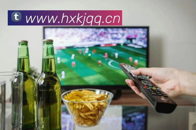 App Interface Preview