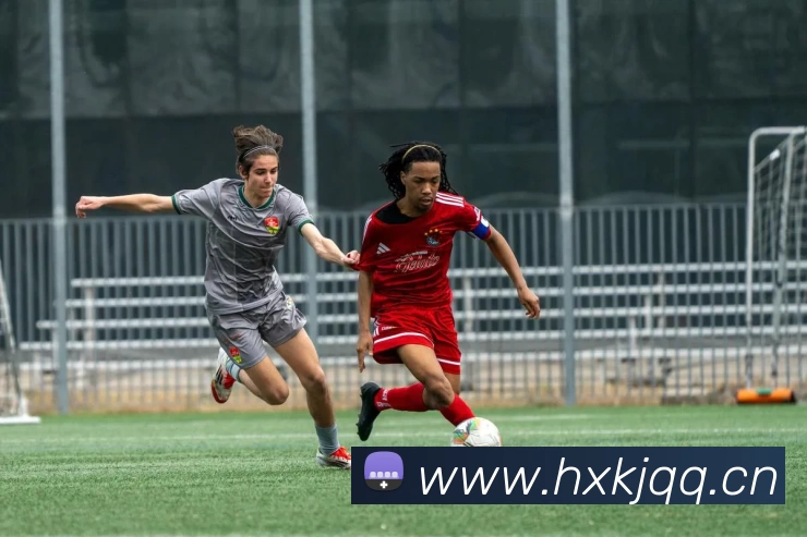 Kaiyun(中国官方)网站 - 科技开云改变生活APP 封面图